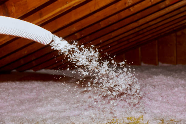 Types of Insulation We Offer in Winthrop Harbor, IL