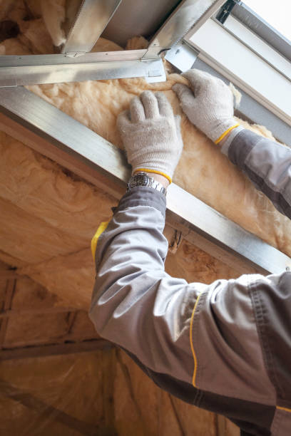 Best Commercial Insulation in Winthrop Harbor, IL