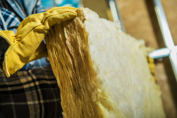 Best Cellulose Insulation in Winthrop Harbor, IL